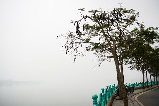 Miền Bắc trời rét kèm sương mù dài ngày